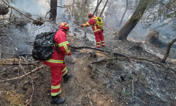 Zjarret nisin me ‘vrull’/ Preken fshatrat Zminec e Karroq, flakët djegin bimët