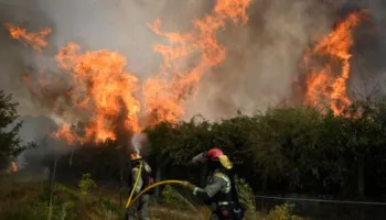 Zjarret përfshijnë Spanjën, mbi 280 mijë hektarë pyje të djegura në dy vatra gjigante
