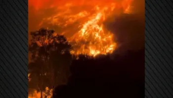 Zjarrfikësit në betejë me flakët në Siçili, mbi 1000 vatra zjarri nga temperaturat ekstreme