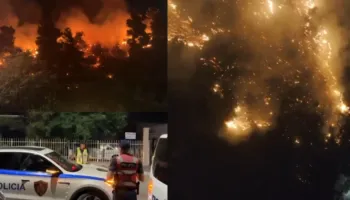 Zjarri në pyllin e Shëngjinit, arrestohet autori i dyshuar i zjarrvënies (EMRI)