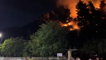 Zjarri në Shëngjin del jashtë kontrollit, flakët përhapen nga era e fortë, plagoset një i ri