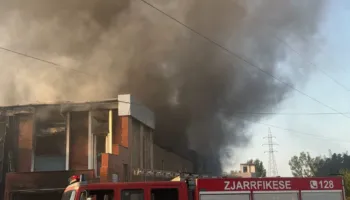 Zjarri në Shkozet, arrestohet 38-vjeçari, Policia: Tentoi të digjte disa barishte, por flakët dolën jashtë kontrollit