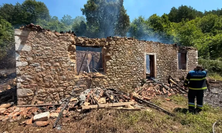 Zjarri në shtëpinë në Shkodër, reagon Policia: Ka humbur jetën nëna me dy fëmijët 1 dhe 3 vjeç