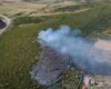Zjarri përfshin një sipërfaqe me ullishte dhe pemë në Cakran, era e fortë favorizon flakët, nisin hetimet për shkaqet