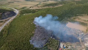 Zjarri përfshin një sipërfaqe me ullishte dhe pemë në Cakran, era e fortë favorizon flakët, nisin hetimet për shkaqet