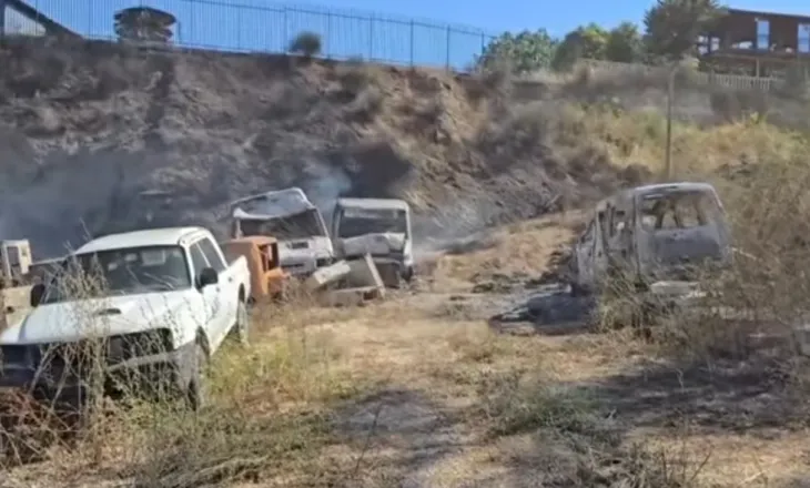 Zjarri që ka përfshirë zona të pyllëzuara në Fier, shoqërohen dy të dyshuar për shkaktimin e flakëve