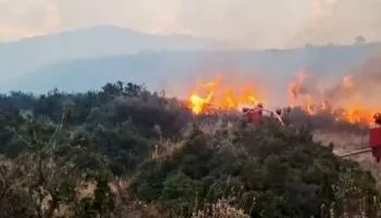 “Zjarrvënia është krim”, Lamallari-qytetarëve: Dënohet deri në 15 vite burg