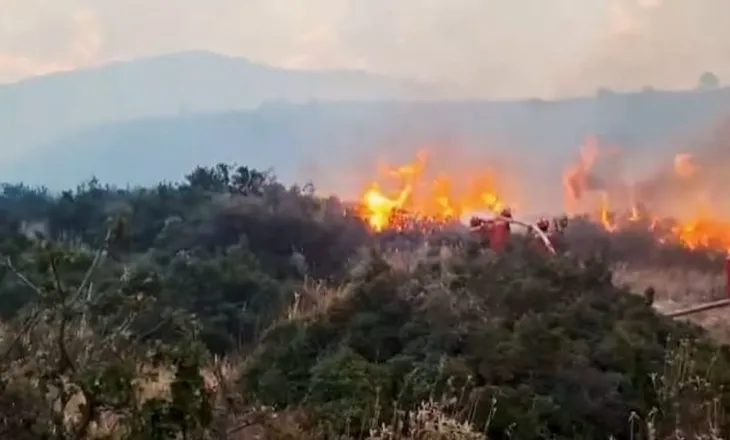 “Zjarrvënia është krim”, Lamallari-qytetarëve: Dënohet deri në 15 vite burg