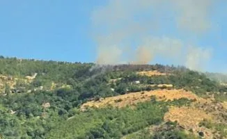 11 vatra ende aktive, Mali i Dajtit dhe Gurë-Lura më problematiket/ Në terren 5 mjete ajrore dhe 387 efektivë