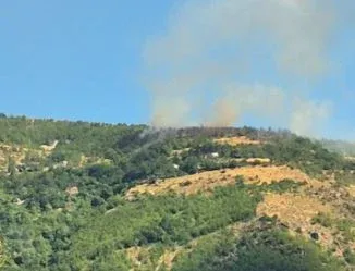 11 vatra ende aktive, Mali i Dajtit dhe Gurë-Lura më problematiket/ Në terren 5 mjete ajrore dhe 387 efektivë