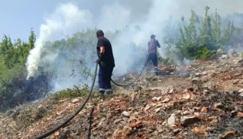 14 vatra zjarri në vend në 10 orët e fundit, 7 mbeten ende aktive