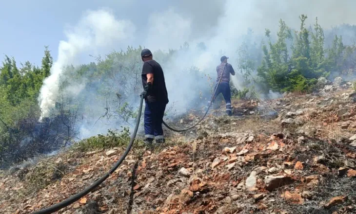 14 vatra zjarri në vend në 10 orët e fundit, 7 mbeten ende aktive