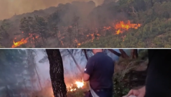 30 vatra zjarri në 24 orë, 8 ende aktive! Vijojnë operacionet për shuarjen e flakëve