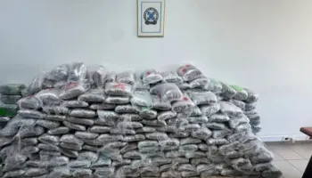 324 kg marijuanë nga Shqipëria drejt Turqisë/ Shkatërrohet banda në Greqi, drogën e fshihnin në ngarkesa me letër për riciklim