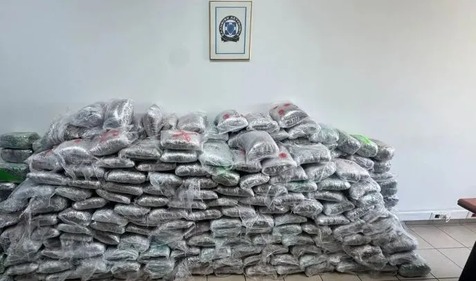 324 kg marijuanë nga Shqipëria drejt Turqisë/ Shkatërrohet banda në Greqi, drogën e fshihnin në ngarkesa me letër për riciklim