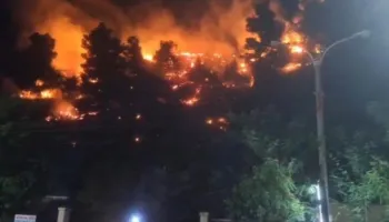 54-vjeçari përfundon keq, dyshohet se dogji 400 pemë ulliri