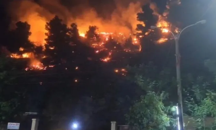54-vjeçari përfundon keq, dyshohet se dogji 400 pemë ulliri