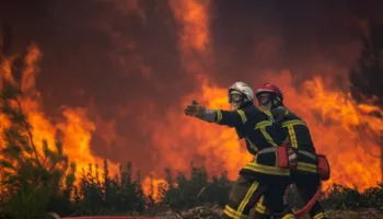 9 vatra zjarri aktive në 6 qarqe, mbi 450 forca dhe 5 mjete ajrore në terren