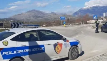 Aksident dramatik në Vlorë-Orikum, “Audi” përplas këmbësoren me foshnjën 3-muajshe, mrekullisht shpëtojnë të dyja!