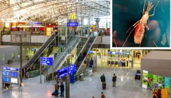 Alarm në Gjermani, në aeroportin e Frankfurtit shpërthen malaria! 6 punonjës të infektuar, njëri humb jetën