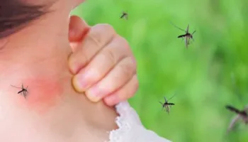 Alarm në Greqi, virusi i Nilit Perëndimor përhapet me shpejtësi, 6 viktima dhe 65 të infektuar