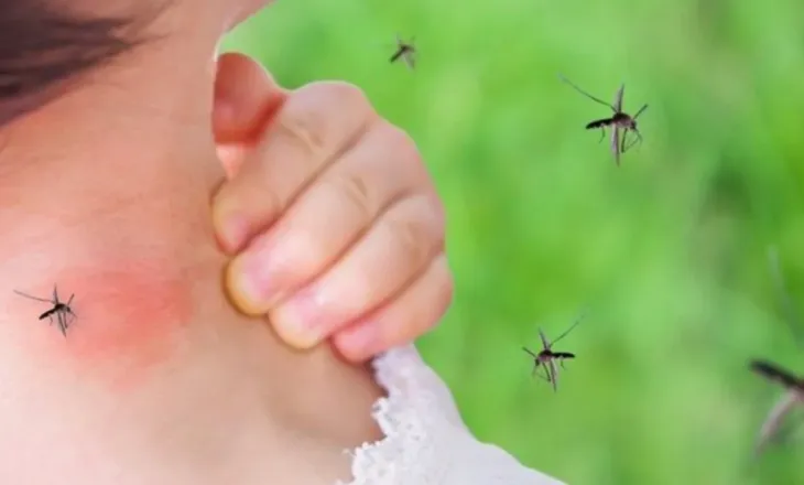 Alarm në Greqi, virusi i Nilit Perëndimor përhapet me shpejtësi, 6 viktima dhe 65 të infektuar