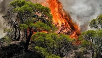 Alarmi i zjarreve në Shqipëri, 27 vatra në 24 orë, 8 aktive dhe 4 nën monitorim