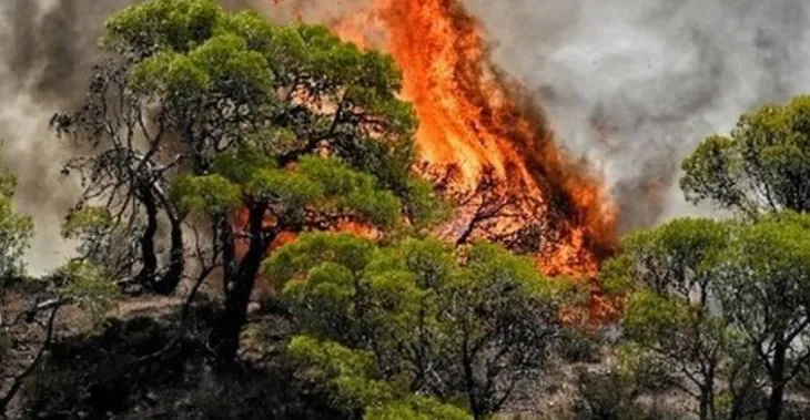 Alarmi i zjarreve në Shqipëri, 27 vatra në 24 orë, 8 aktive dhe 4 nën monitorim