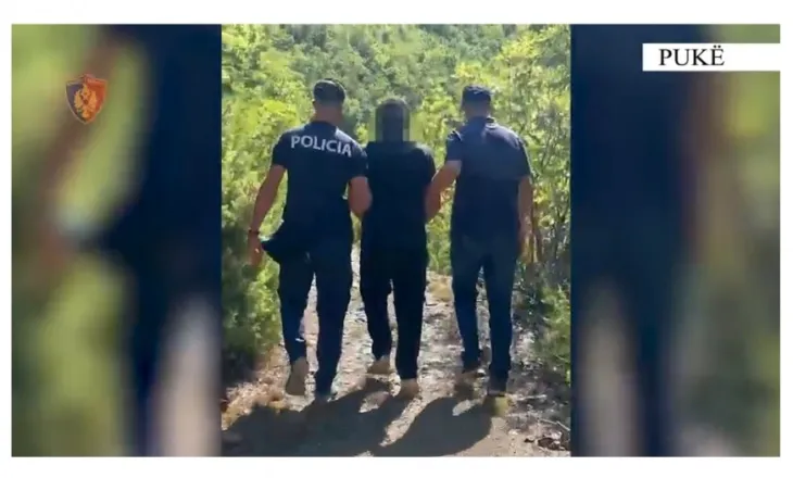 Arrestohet 58-vjeçari në Pukë, kultivonte 105 bimë kanabisi dhe mbante pistoletë pa leje