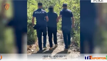 Arrestohet 58- vjeçari në Pukë, u kap në flagrancë duke kultivuar 105 bimë narkotike kanabis sativa