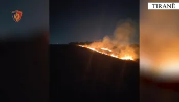 Arrestohet i moshuari në Tiranë, ndezi dy zjarre në dy ditë, dogji sipërfaqe të mëdha toke në Lundër e Shkozë