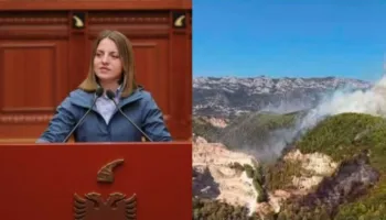 “Askushi s’e ndjen ma as përgjegjësinë as përkatësinë, por vetëm dëshirën me zhvat e me përfitu”/Zjarret, reagon Koçeku