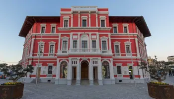 Bashkia Vlorë, më shumë para për ushqimin e qenve sesa për banesat e të varfërve