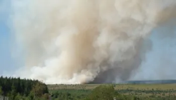 Belgjika i kërkon BE-së ndihmë, ndërsa zjarri në pyje përhapet me shpejtësi