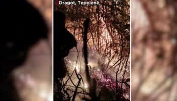 Beteja me flakët në Dragot të Tepelenës, ministri Nufi: Mirënjohje për forcat që luftuan, zjarri u shua pas operacionit gjatë gjithë natës!