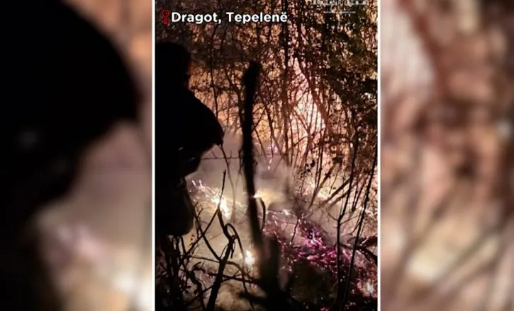 Beteja me flakët në Dragot të Tepelenës, ministri Nufi: Mirënjohje për forcat që luftuan, zjarri u shua pas operacionit gjatë gjithë natës!