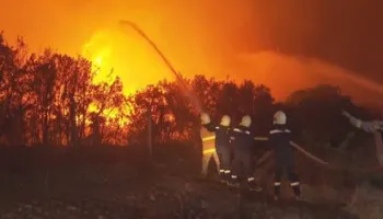 Betejë me zjarret në 7 zona, Ministria e Mbrojtjes për situatën: 10 vatra aktive, në Lurë aksion me 300 forca e 2 avionë! Prioritet jeta e qytetarëve