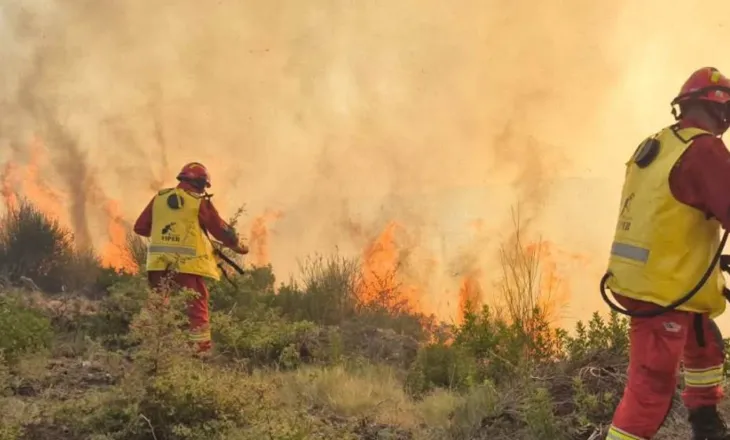 Bilanci i zjarreve në Shqipëri: Pesë vatra ende aktive, mbi 34 hektarë të djegur