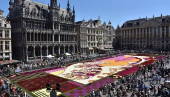 Brukseli mbulohet nga 500 mijë lule në “Flower Carpet”, frymëzuar nga Hokusai