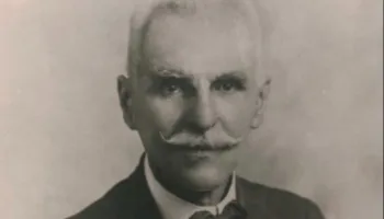 Dallëndyshe eja