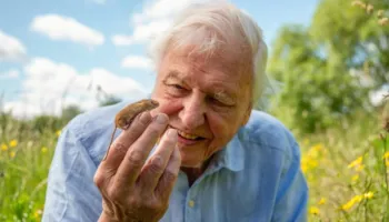 David Attenborough, 100 vjeç, bëhet personi më i moshuar i nominuar ndonjëherë për një Primetime Emmy