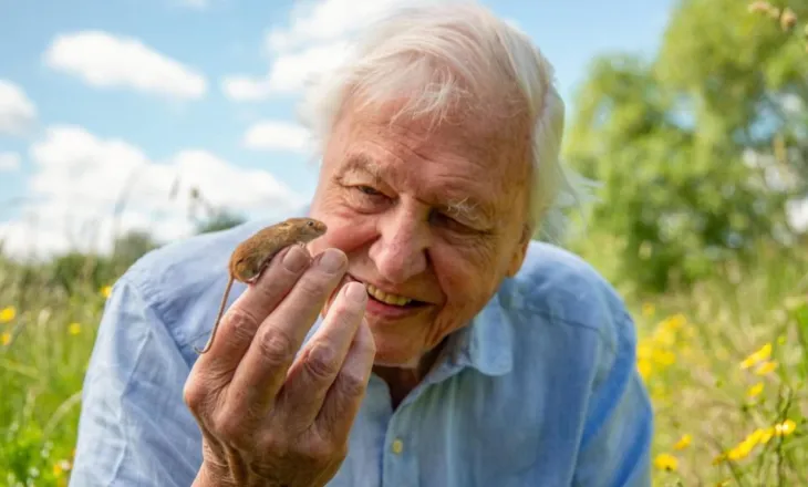 David Attenborough, 100 vjeç, bëhet personi më i moshuar i nominuar ndonjëherë për një Primetime Emmy