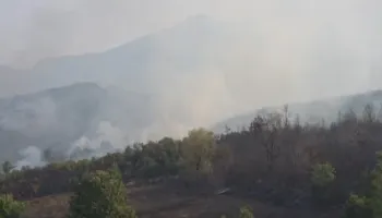 Dëme të mëdha nga zjarri në Priskë, një shtëpi e djegur dhe familje të evakuuara, shkrumbohen pyje dhe ullishte