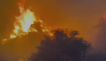 Dhjetëra hektarë pyje nën “pushtetin” e zjarrit në Tepelenë