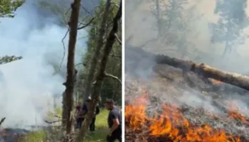 Dibër/ Dy vatra zjarri aktive, flakët përhapen në terren pyjor, në Qafë-Helmes situata jashtë kontrollit