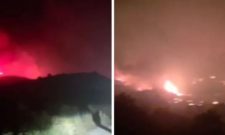 Digjen sipërfaqe të mëdha me bimësi/ Zjarri në Daias pranë Lundrës zgjeron perimetrin gjatë mbrëmjes