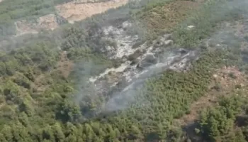 ‘Digjet’ Klosi/Zjarri përfshin mullare me bar dhe pemë frutore, flakët dalin jashtë kontrollit po përhapen drejt pyllit
