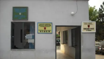Dramë në familjen dibrane/ Xhaxhai i dhunon nënën, djali i saj reagon me pistoletë, ndërhyn policia