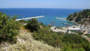 Dy brigje, një kauzë: Aktivistët lundrojnë nga Italia në mbështetje të “Revolucionit të Flamingove”