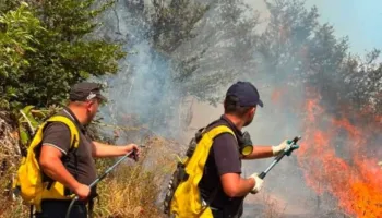 Dy fronte zjarri në qarkun e Elbasanit, era dhe temperaturat e larta favorizojnë përhapjen e flakëve